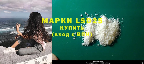 стаф Новозыбков