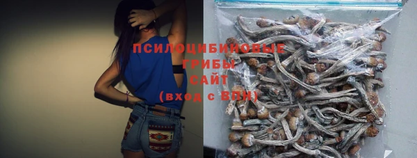 дживик Нефтегорск