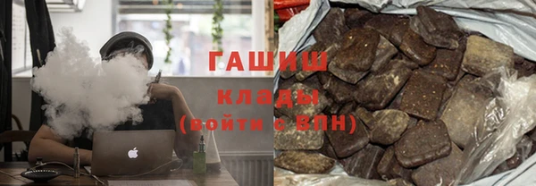 стаф Новозыбков
