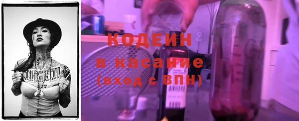 стаф Новозыбков