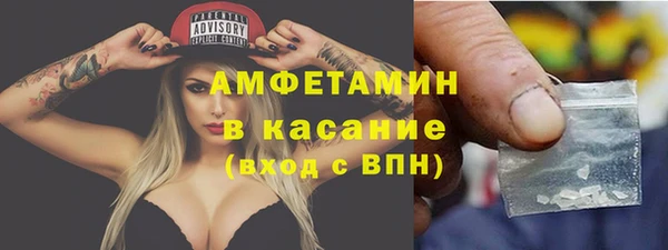 стаф Новозыбков