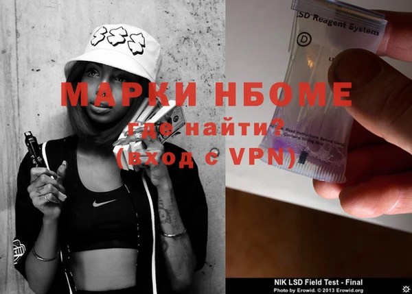 стаф Новозыбков