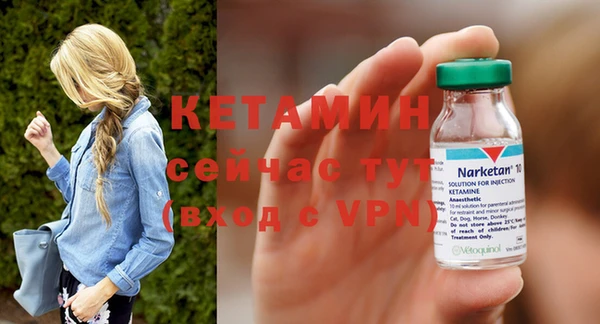 стаф Новозыбков