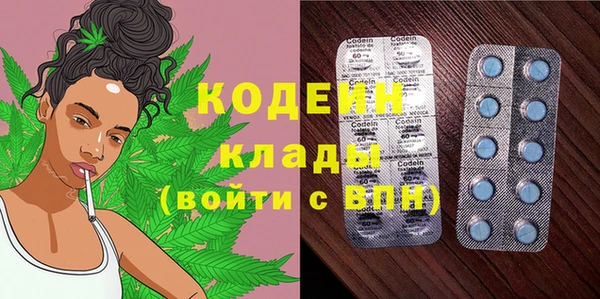 стаф Новозыбков